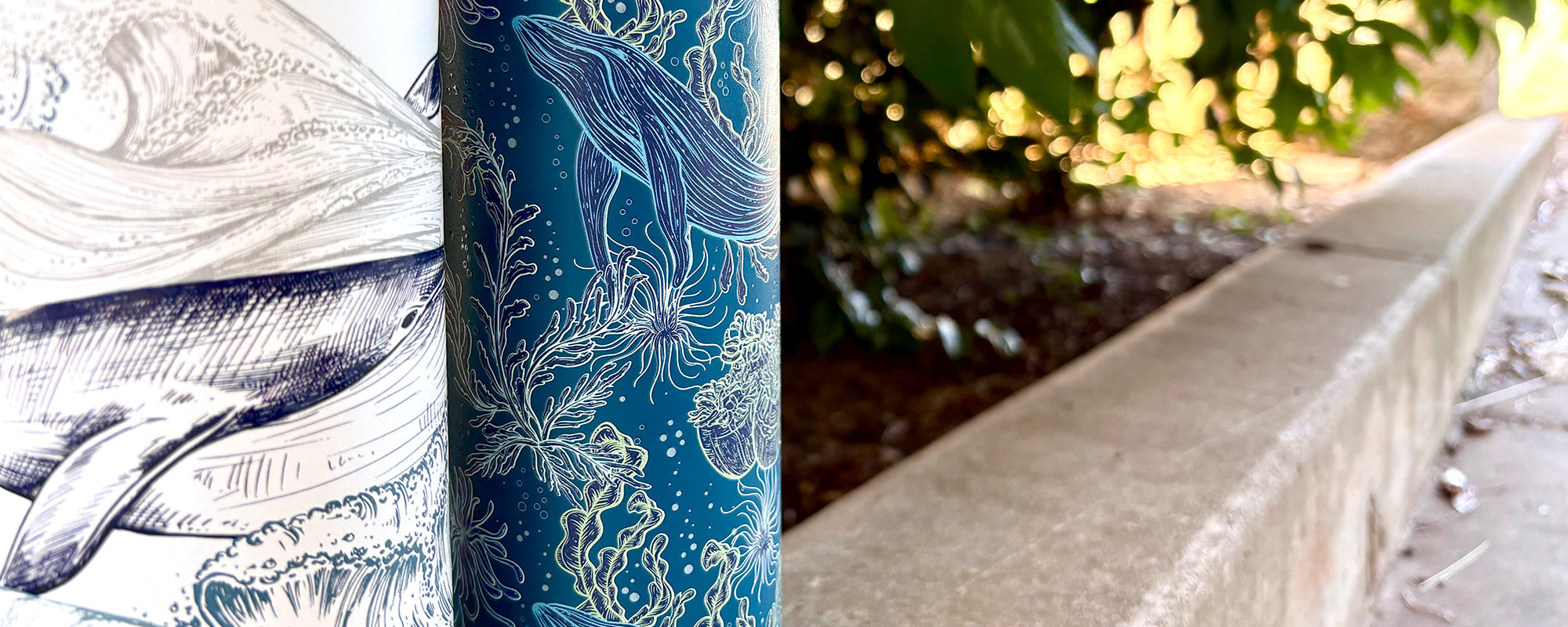 Klean Kanteen Graphics Collection and Seasonals
