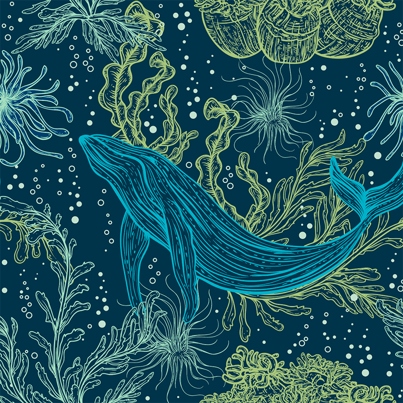 Illustration of a whale surrounded by underwater plants on a dark blue background