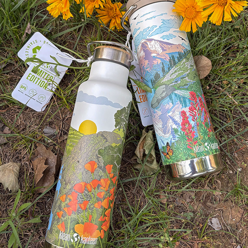 Two water bottles with nature-themed designs on a grassy background