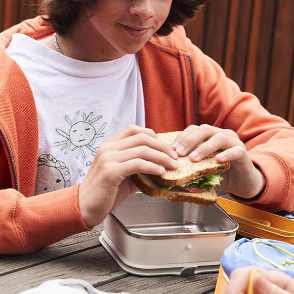 Student a sandwich over a lunch box on a wooden surface