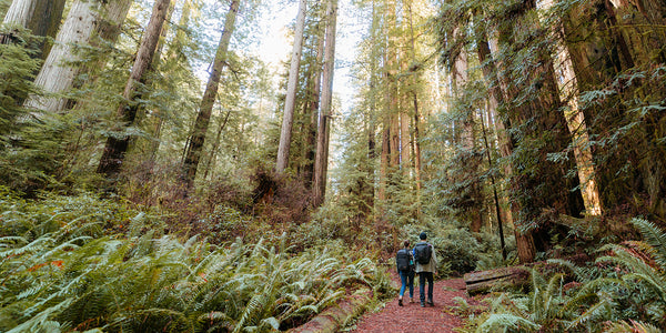 Adventures on The Lost Coast