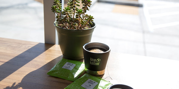 How to Make Your Own Indoor Tea Garden
