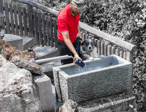 Keeping Your Dog Hydrated on Outdoor Adventures