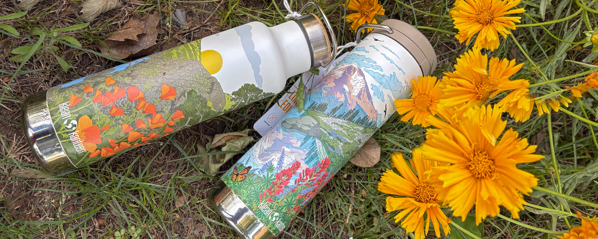 Klean Kanteen Graphics Collection and Seasonals