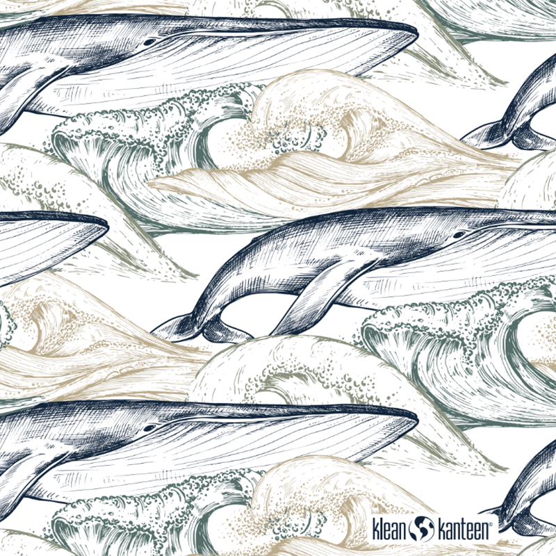 Pattern of whales and waves with Klean Kanteen logo.