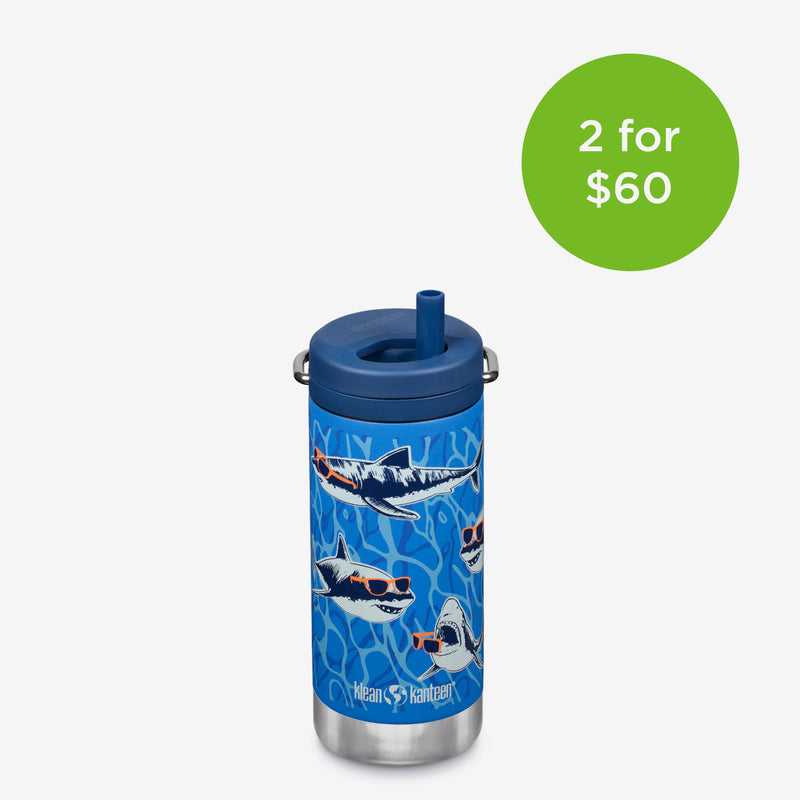 Insulated Water Bottle - TKWide 12 oz with Steel Straw | Klean Kanteen