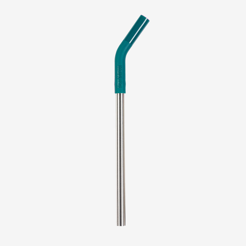 Steel Straw - 10mm