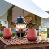 Wine tumblers on table